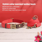 Personalized PU Leather Dog Collar and Leash-20