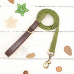 Personalized PU Leather Dog Collar and Leash-6