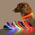 Nylon LED Night Safety Flashing Glow In The Dark Dog Leash Dogs Luminous Fluorescent Pet Dog Collar-0