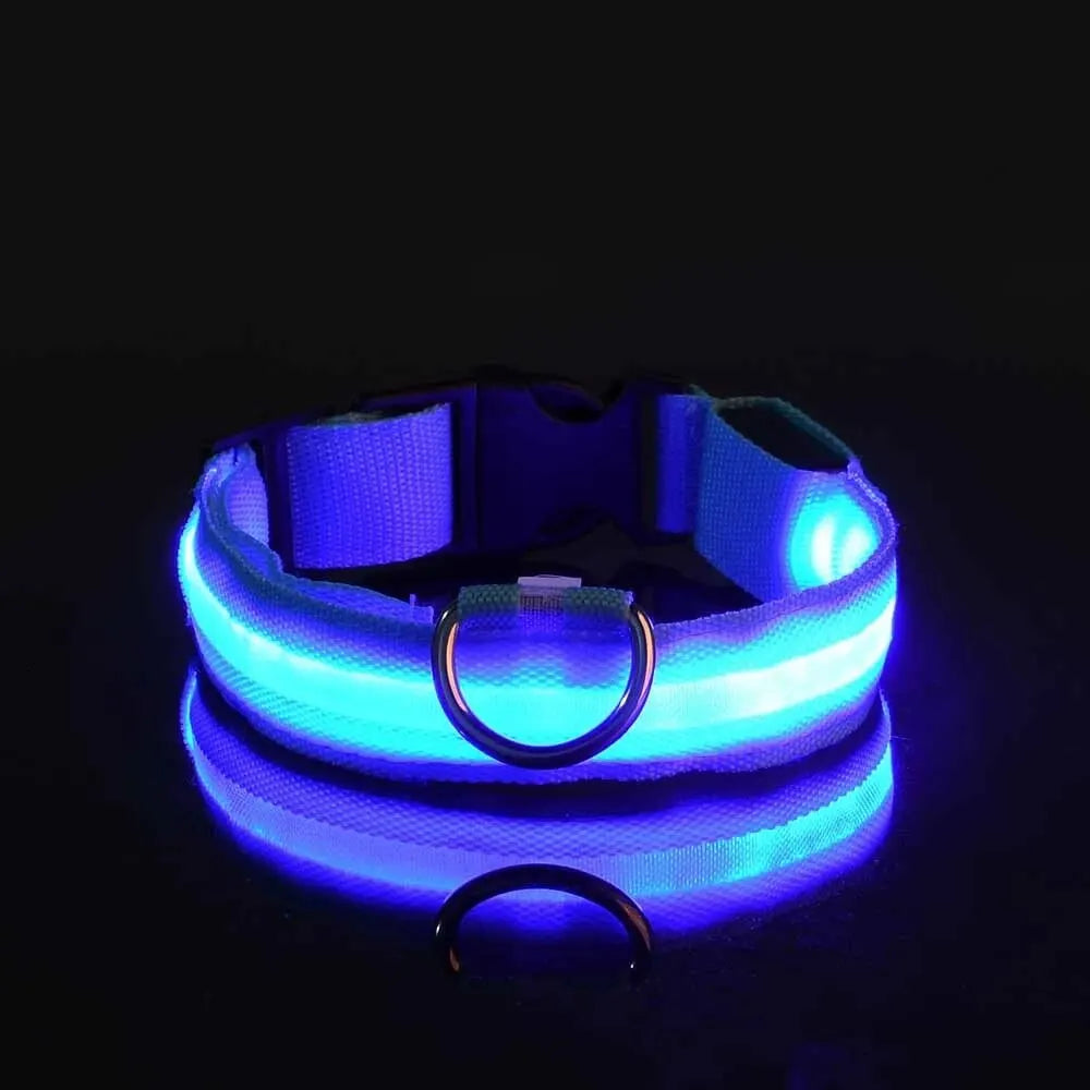 Nylon LED Night Safety Flashing Glow In The Dark Dog Leash Dogs Luminous Fluorescent Pet Dog Collar-8