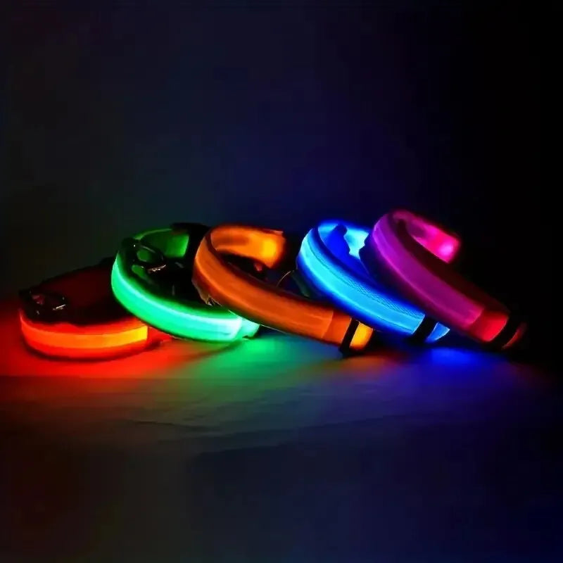 Nylon LED Night Safety Flashing Glow In The Dark Dog Leash Dogs Luminous Fluorescent Pet Dog Collar-4