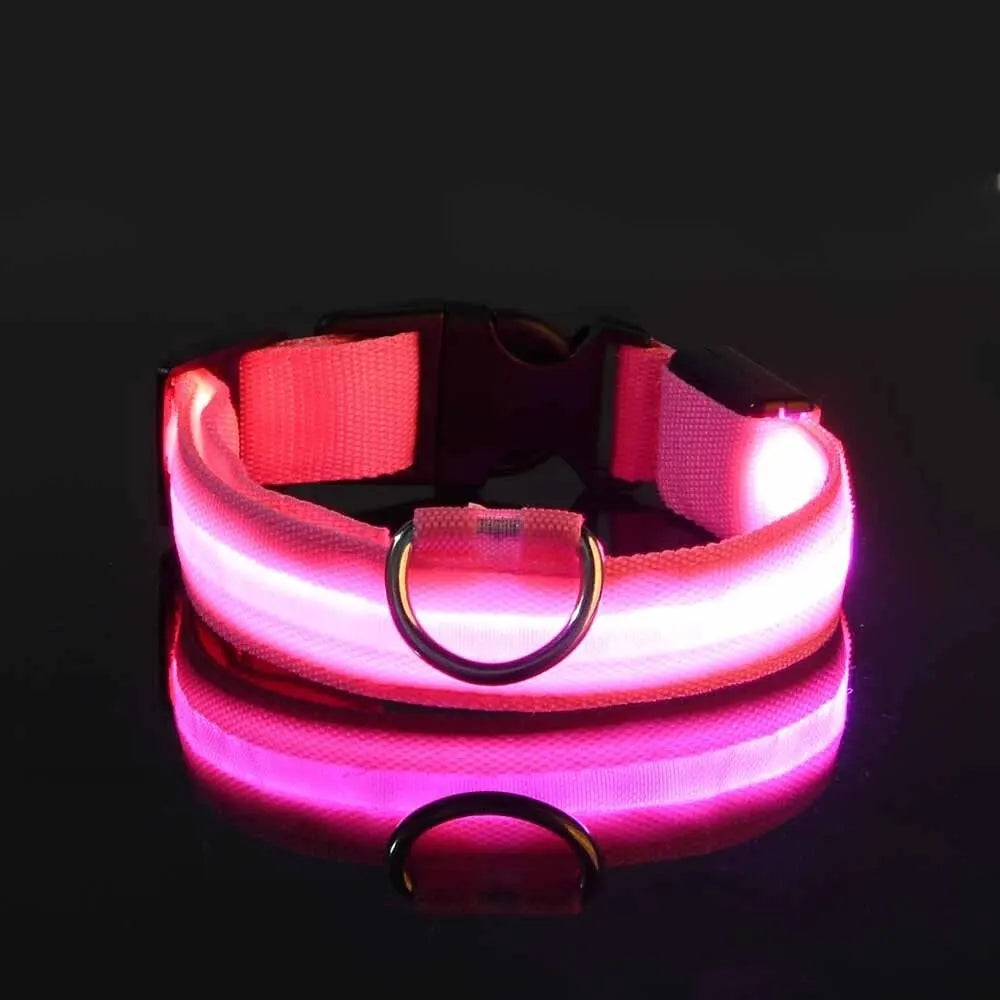 Nylon LED Night Safety Flashing Glow In The Dark Dog Leash Dogs Luminous Fluorescent Pet Dog Collar-10