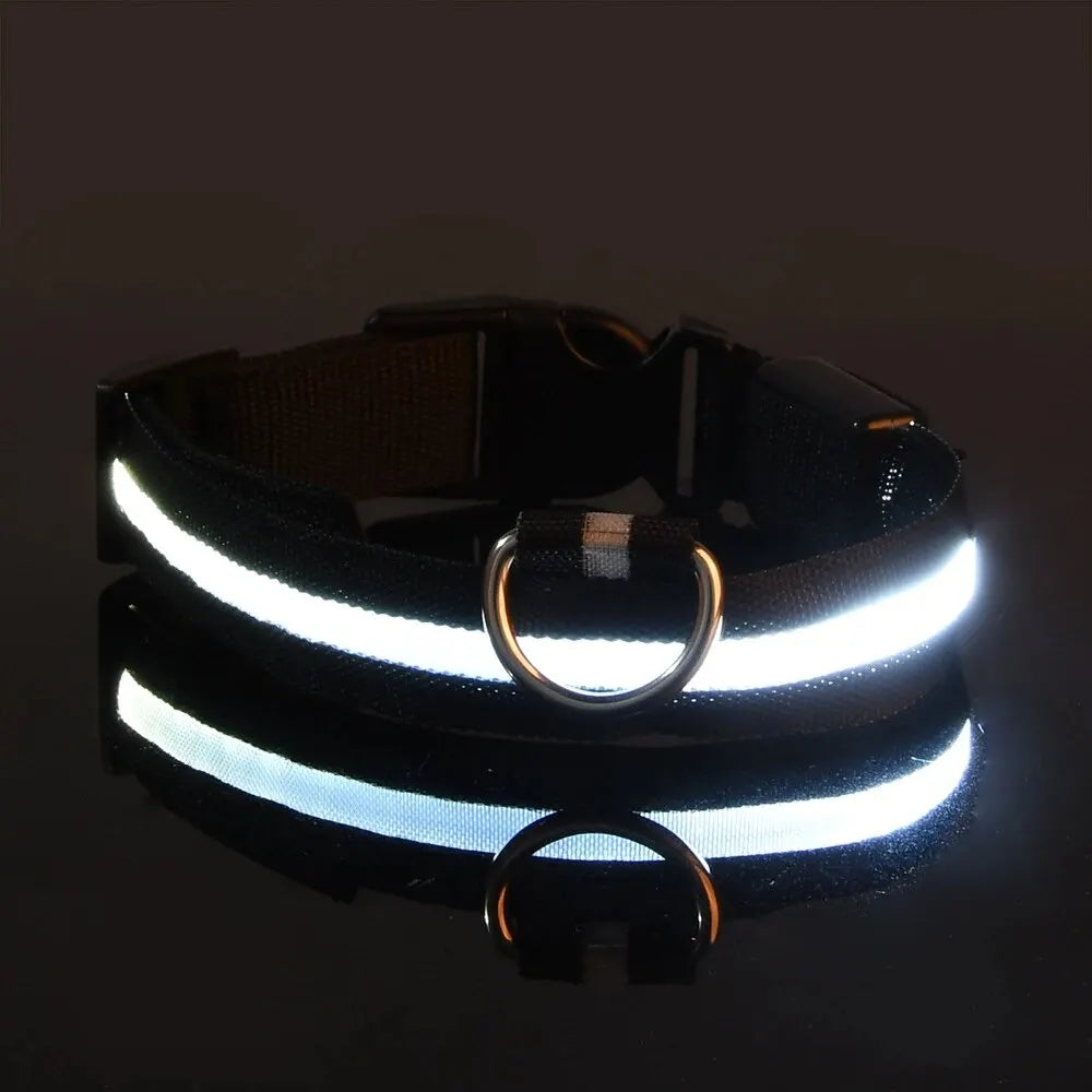 Nylon LED Night Safety Flashing Glow In The Dark Dog Leash Dogs Luminous Fluorescent Pet Dog Collar-11