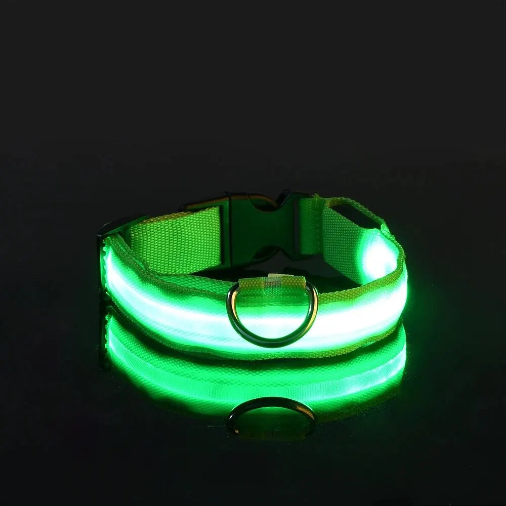 Nylon LED Night Safety Flashing Glow In The Dark Dog Leash Dogs Luminous Fluorescent Pet Dog Collar-7