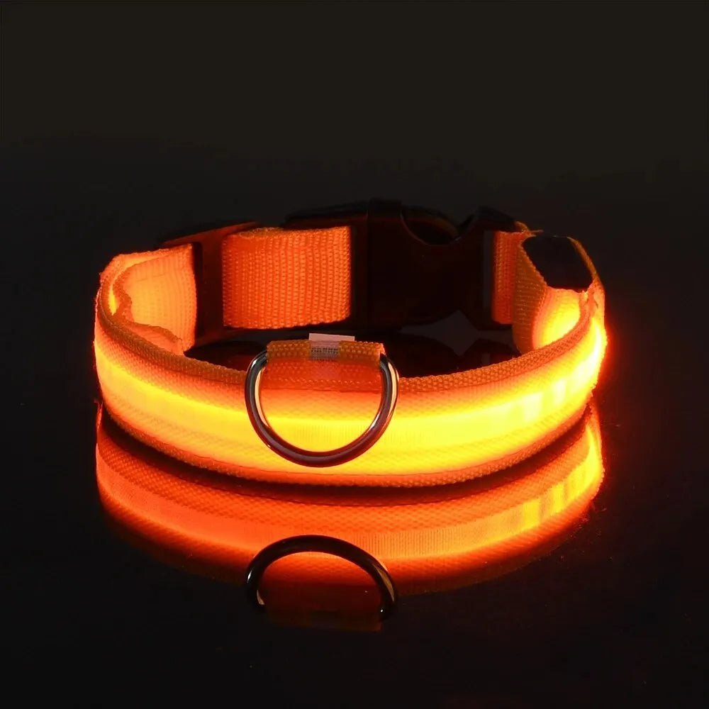 Nylon LED Night Safety Flashing Glow In The Dark Dog Leash Dogs Luminous Fluorescent Pet Dog Collar-5