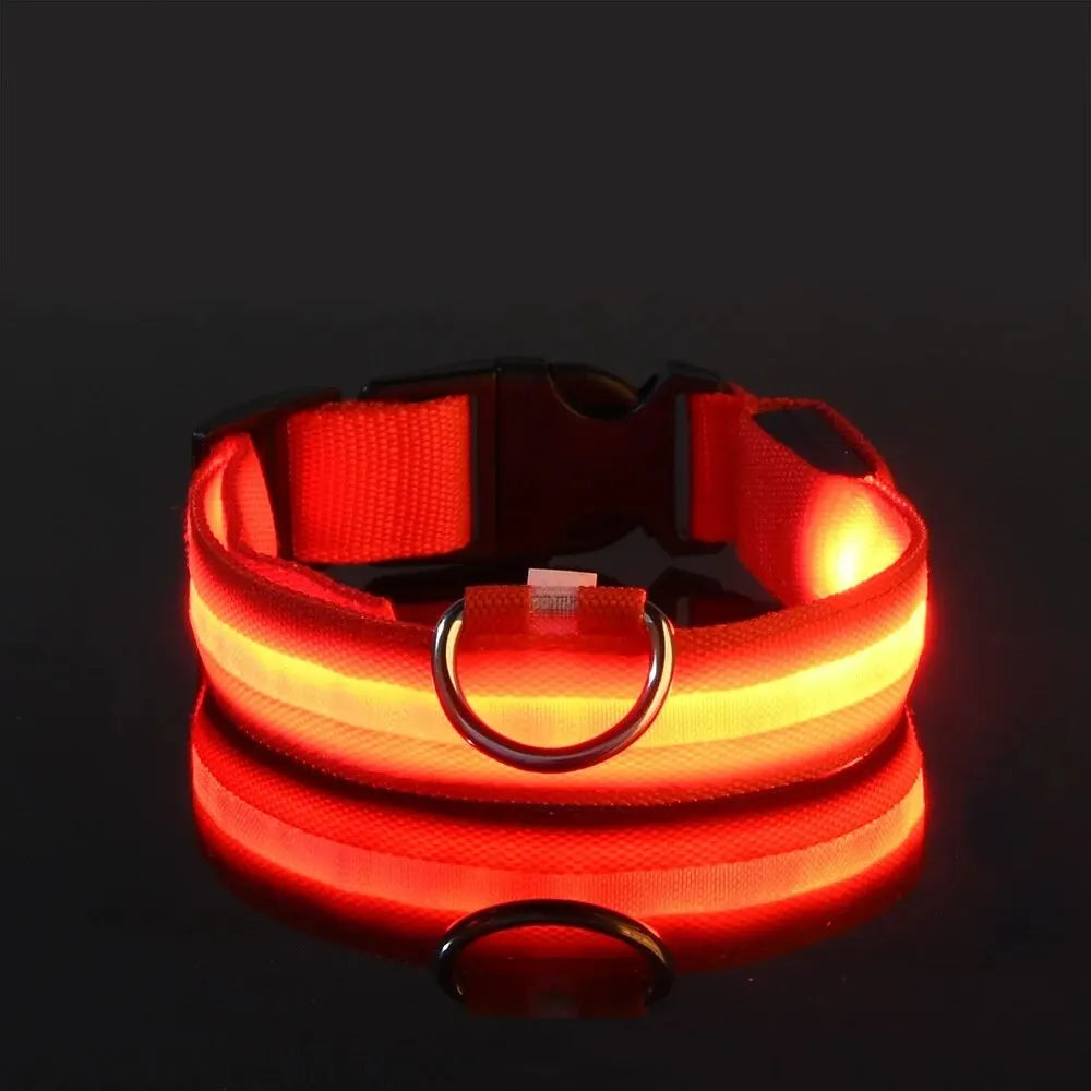 Nylon LED Night Safety Flashing Glow In The Dark Dog Leash Dogs Luminous Fluorescent Pet Dog Collar-9