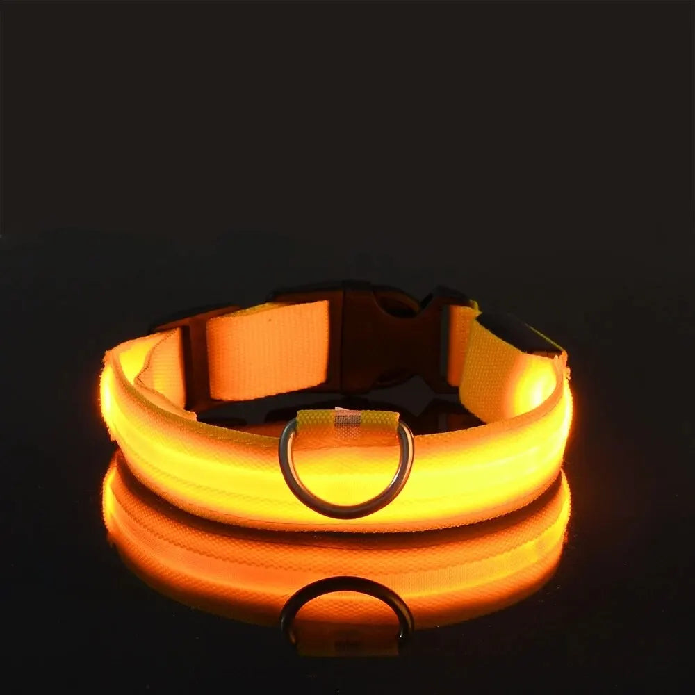 Nylon LED Night Safety Flashing Glow In The Dark Dog Leash Dogs Luminous Fluorescent Pet Dog Collar-6