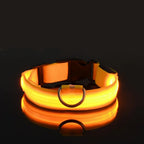 Nylon LED Night Safety Flashing Glow In The Dark Dog Leash Dogs Luminous Fluorescent Pet Dog Collar-6