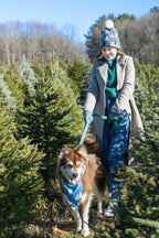 Siberian Spruce Waterproof Dog Collar-3