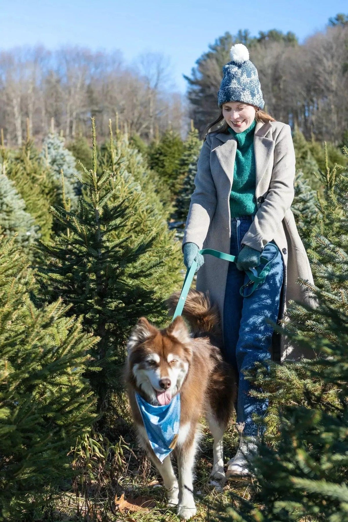 Siberian Spruce Waterproof Dog Collar-3