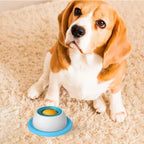 Slow Feeder Dog Licking Toy-2