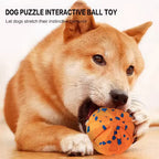 Smart Interactive Dog Ball-3