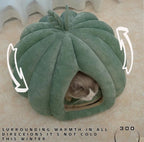 Cat Beds for Indoor Cats S
