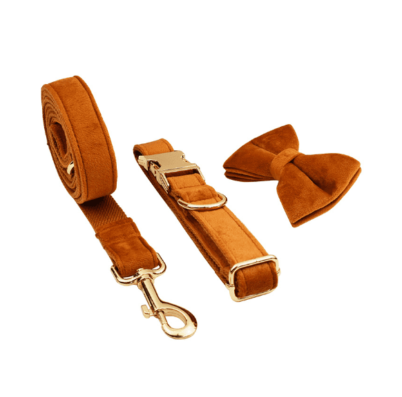 Velvet Dog Collar and Leash Set-9