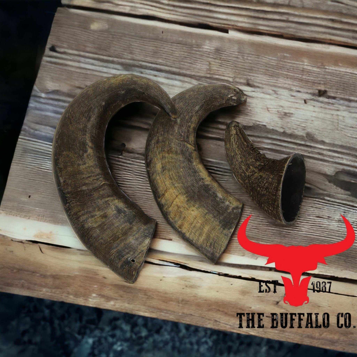 Buffalo Horn-Small (4-5 Inch)-Dog Treats