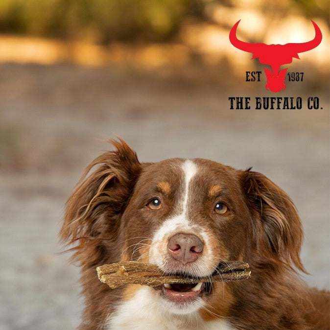 Buffalo Tripe - Dog Treats - 1kg-1