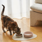 cat bowls-4