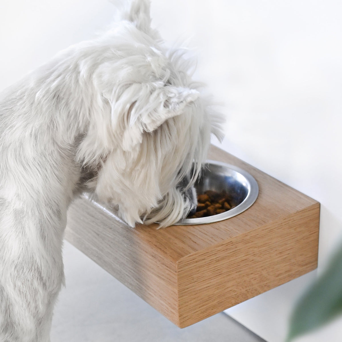 Small Dogs and Cats Wooden Elevated Stand, Young Dog Stand with Bowls-1