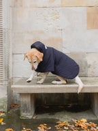 Dog Hoodie Navy-1