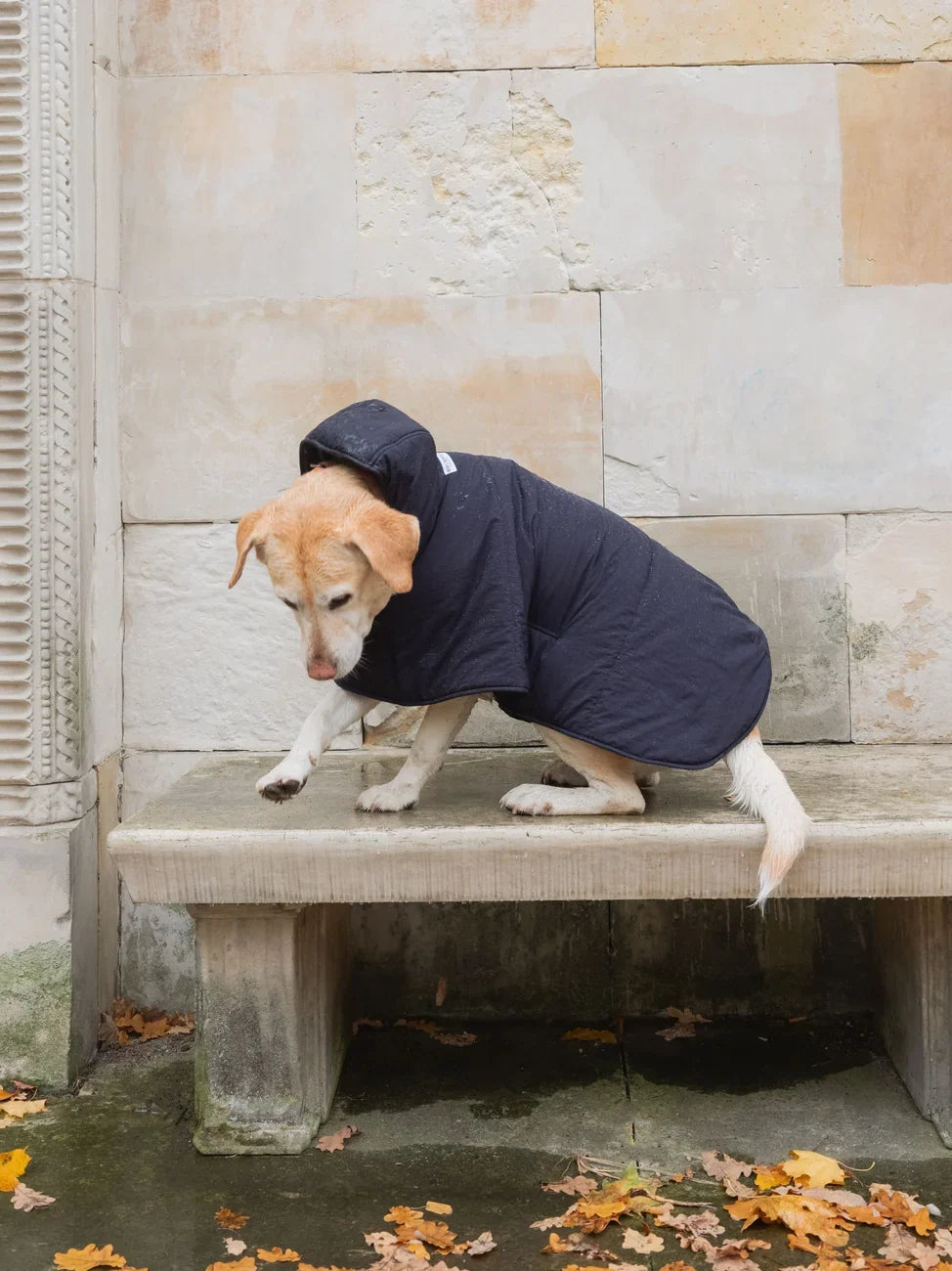 Dog Hoodie Navy-1