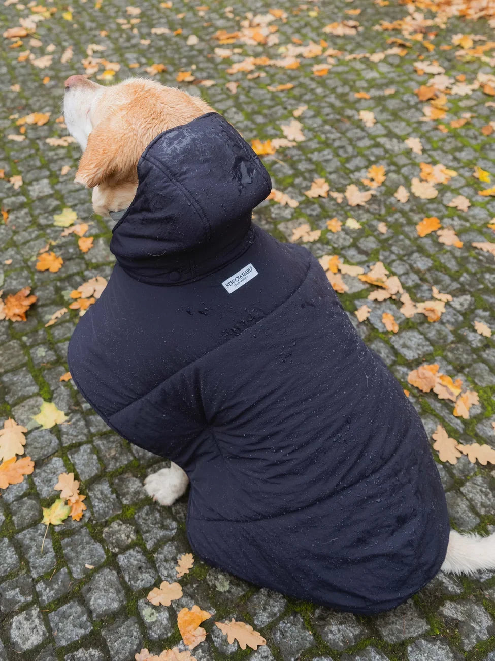 Dog Hoodie Navy-3