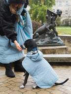 Dog Hoodie Blue-3