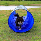 Dog Training Jumping Ring Jumping Pole Wrap Agility Training Kit-9