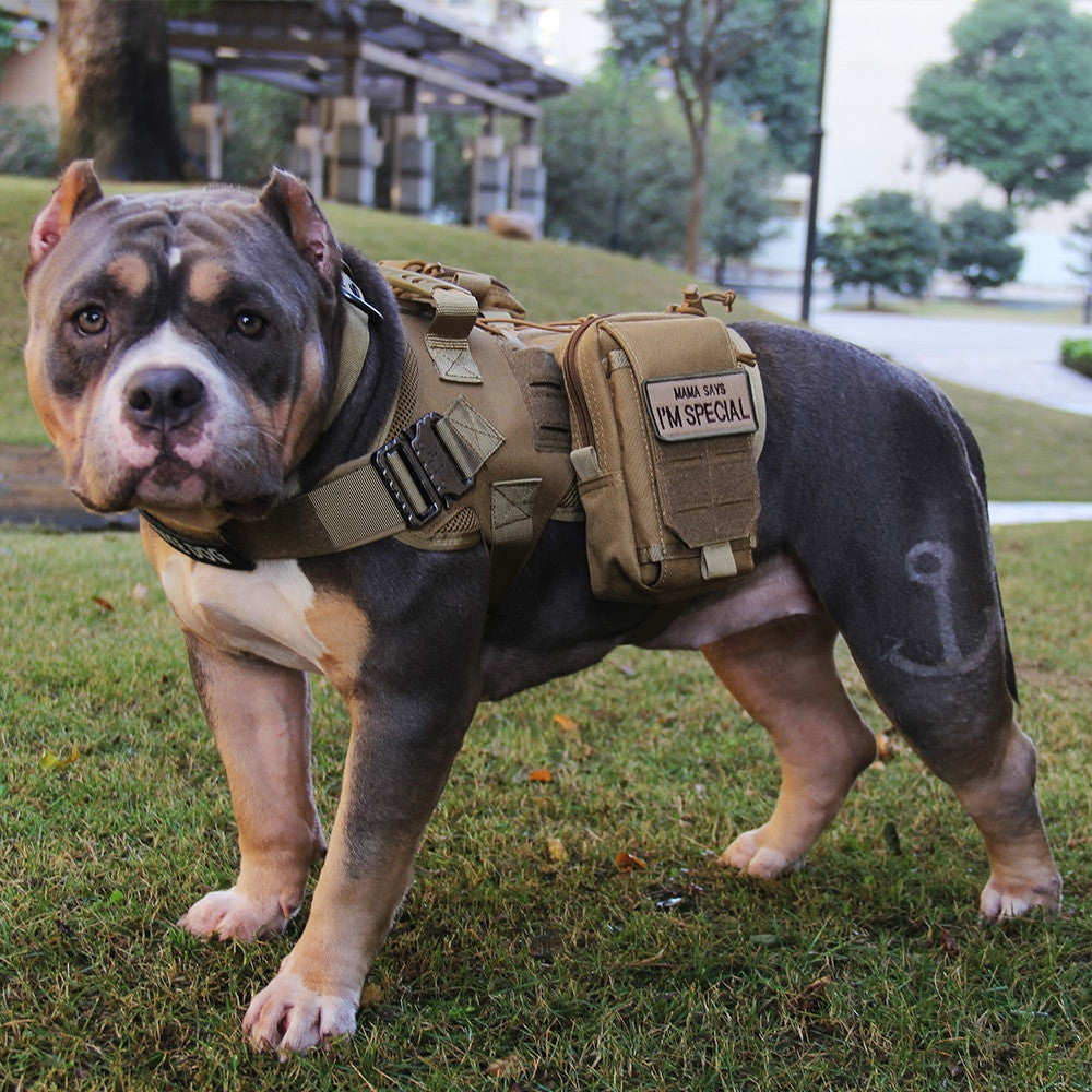 Tactical Dog Vest-2