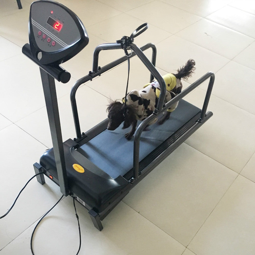 Dog special treadmill pet dog running training equipment