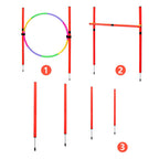 Dog Agility Training Equipment-9