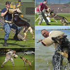 Dog Training Arm Sleeve Professional Dog Training Set-1