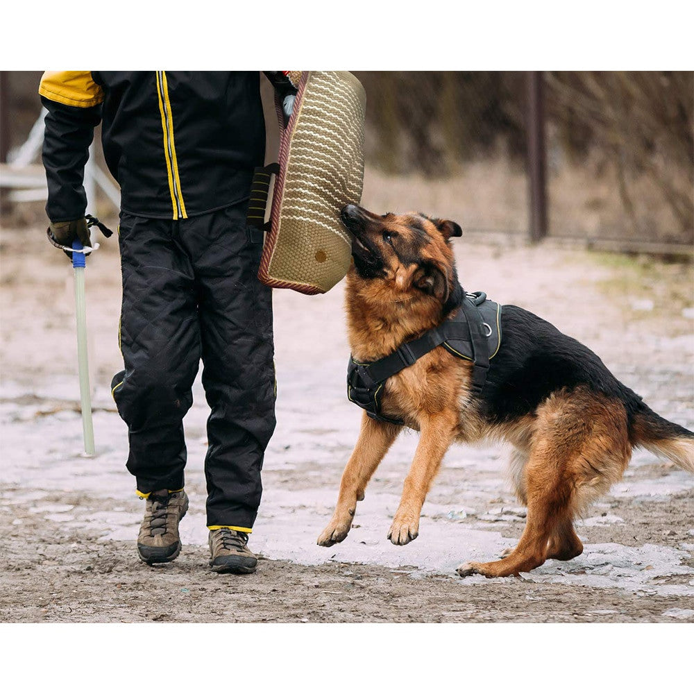 Dog Training Arm Sleeve Professional Dog Training Set-4