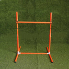 Dog Agility Training Equipment Sets-5