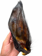 Hairy Buffalo Ears with Meat - 50 Ears-4
