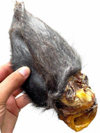 Hairy Buffalo Ears with Meat - 50 Ears-3