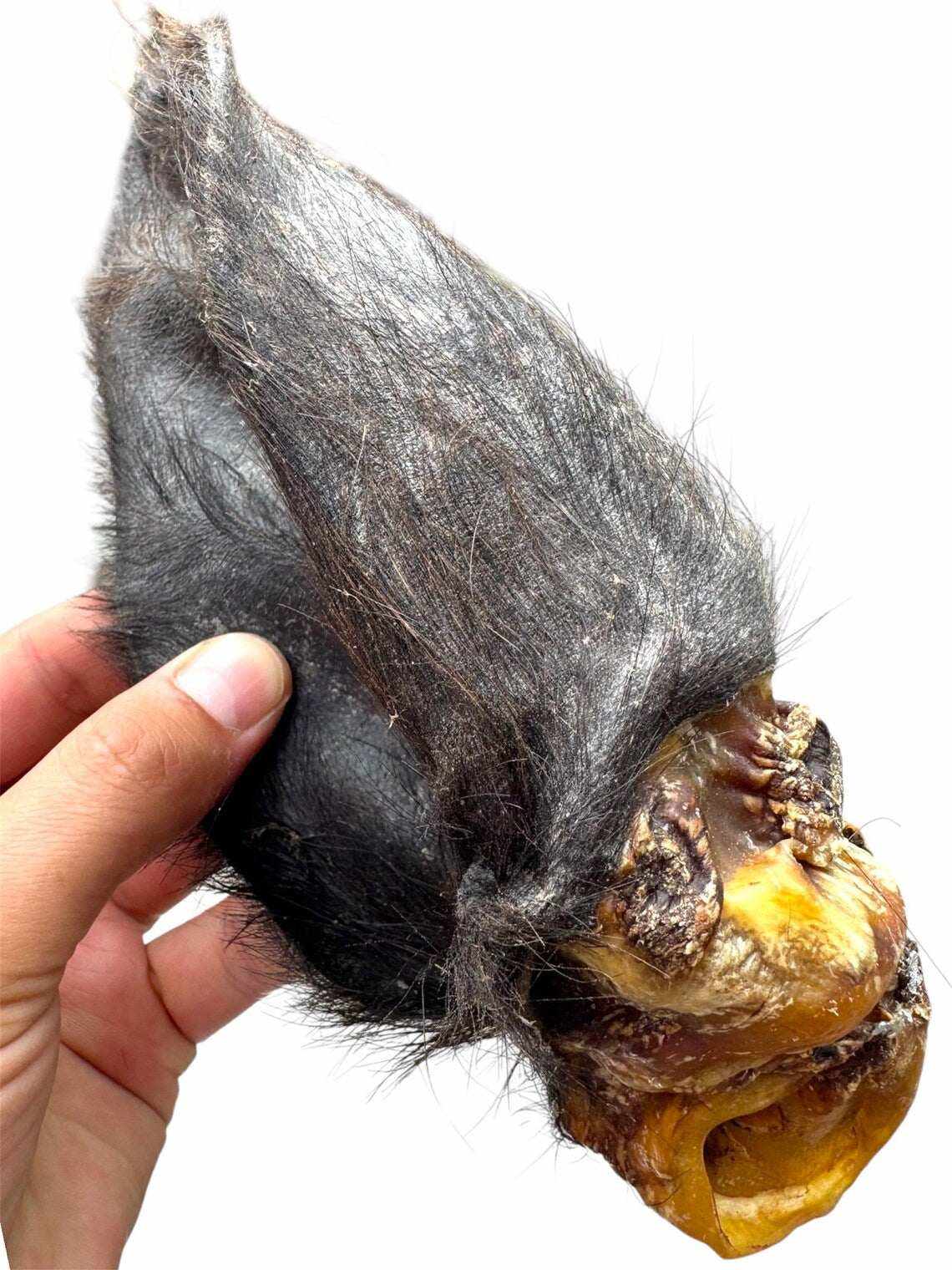 Hairy Buffalo Ears with Meat - 50 Ears-3