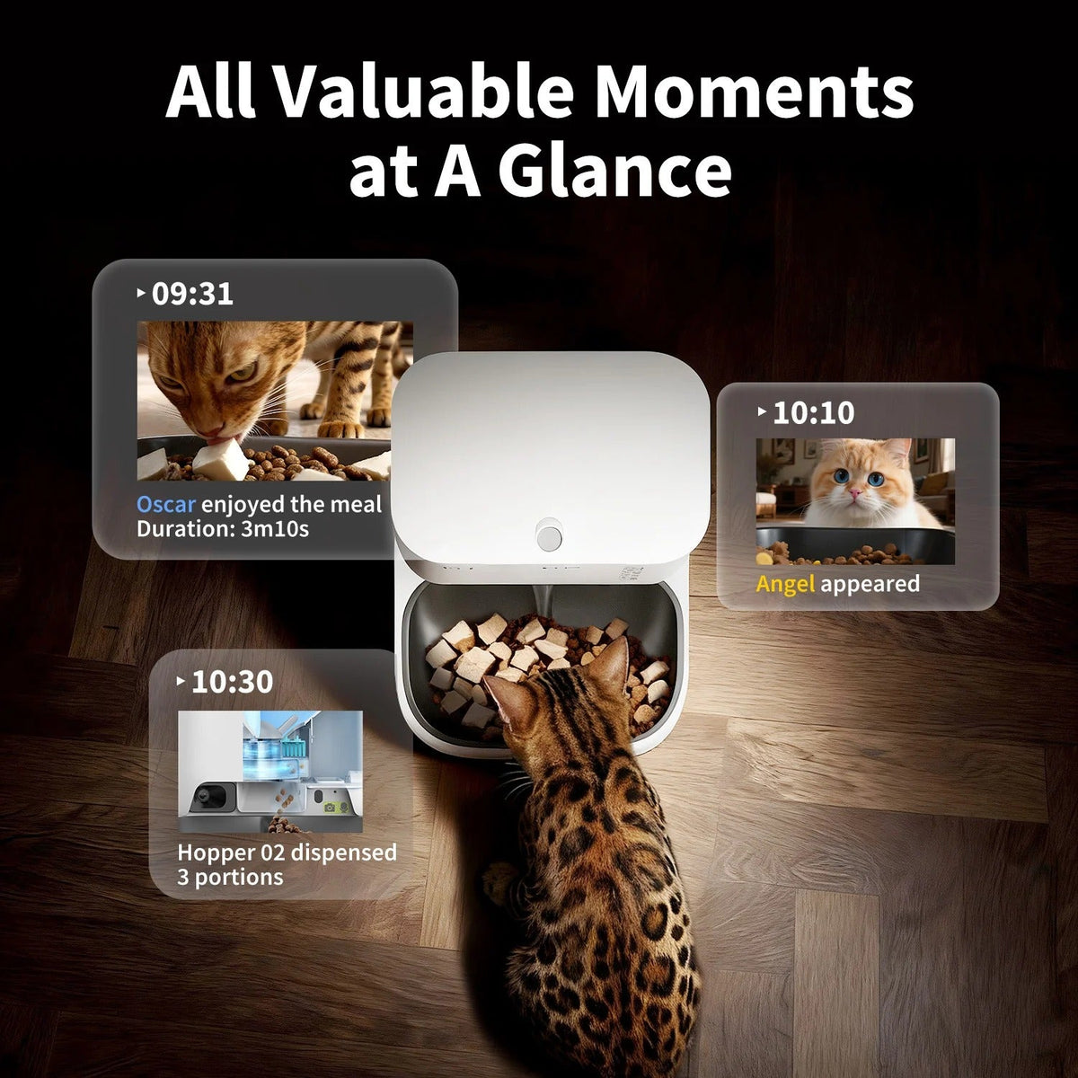 YumShare Dual-hopper 2 Automatic Feeder with Camera