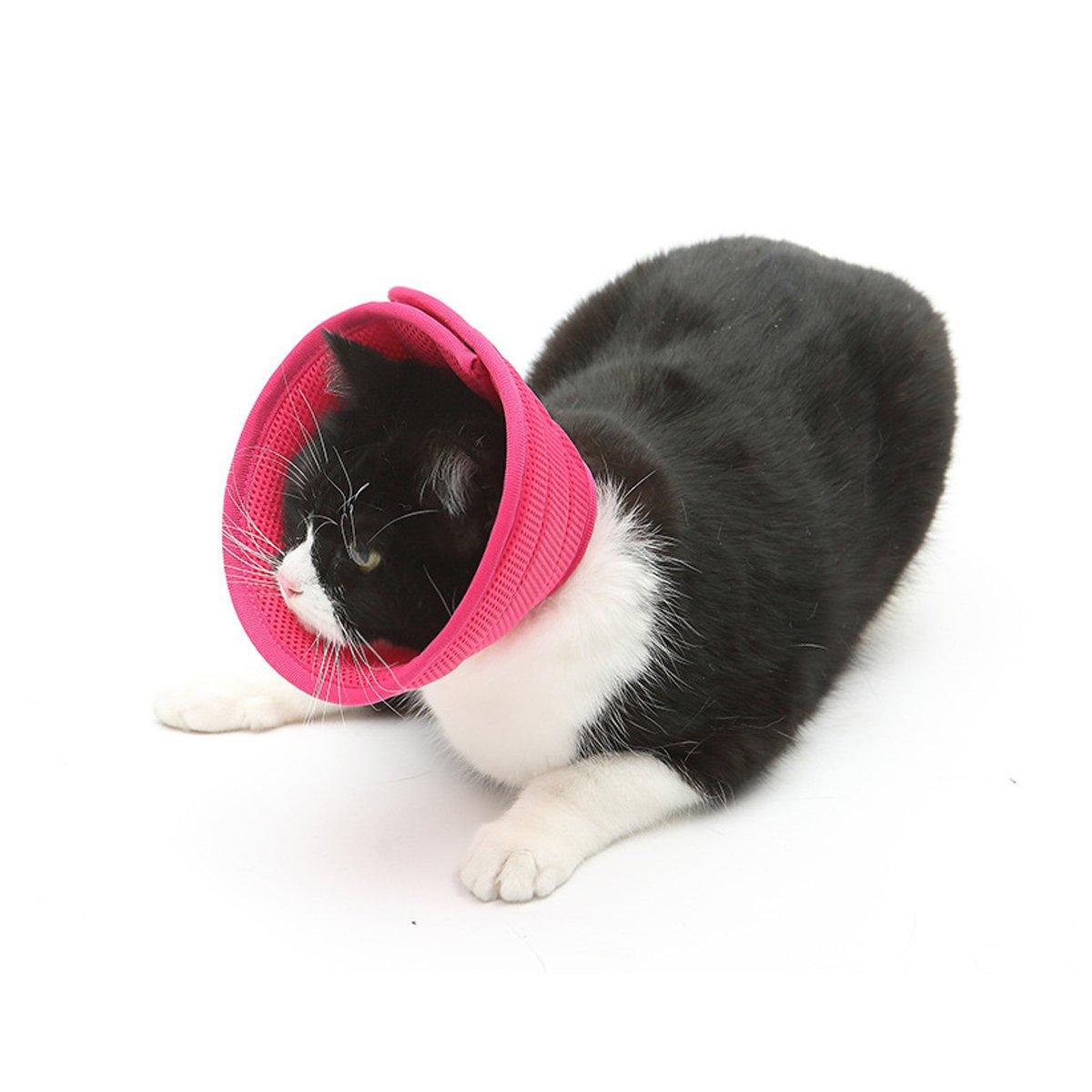 Elizabethan Collar Anti Licking Biting Pet Collar for Cats and Dogs Recovery Use-3