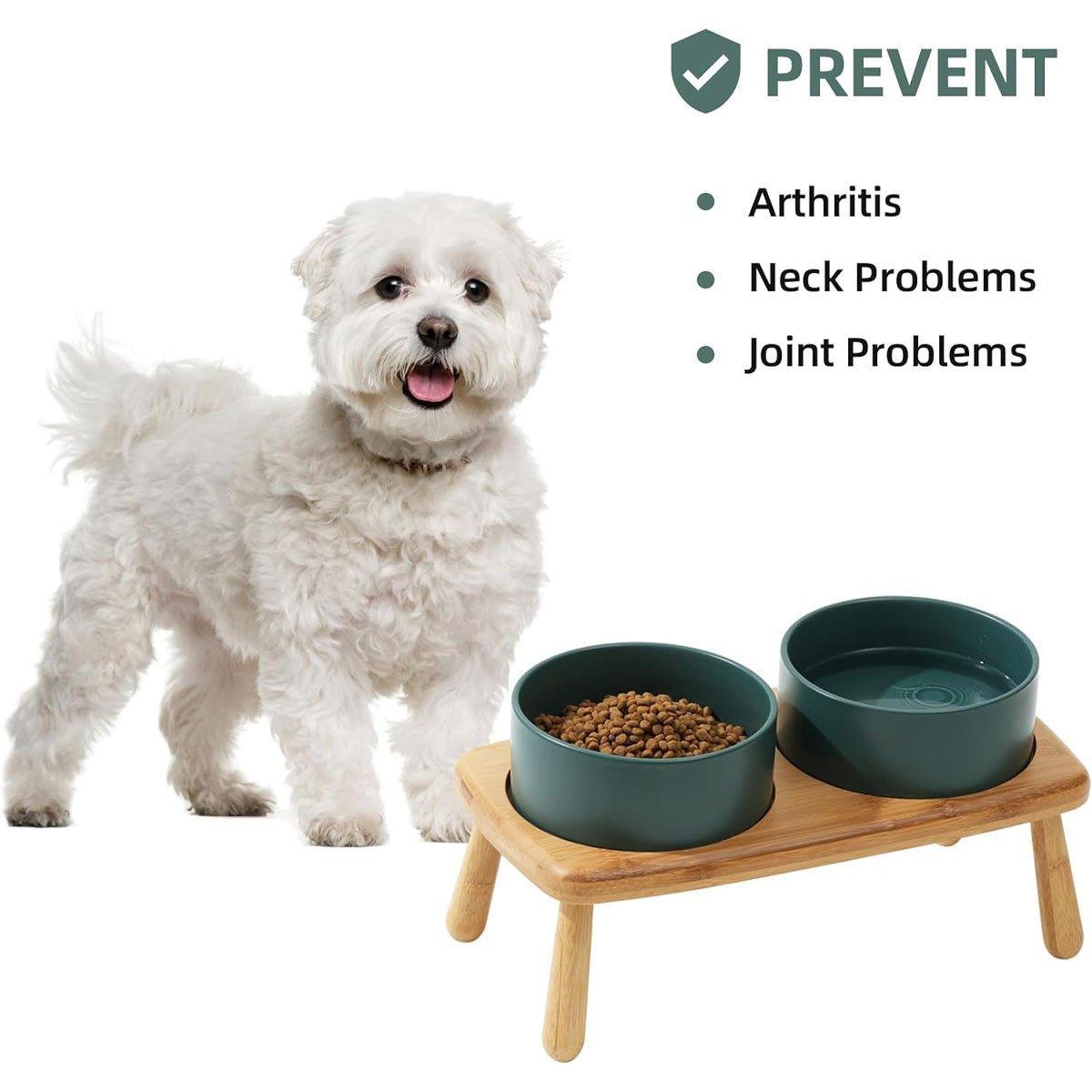Ceramic Elevated Dog Bowl Anti-Slip Double Bowl for Small Medium Large Dogs-3