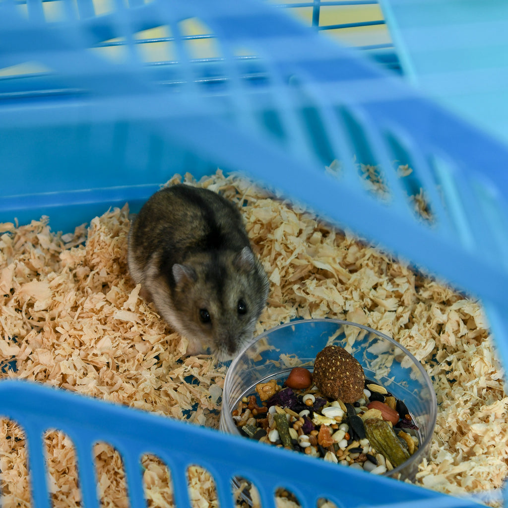 Cage for Hamsters, Mice, Small Animals, Rodents with Tunnel, Feeder, Wheel, and Toy, 47 x 30 x 59 cm, Blue