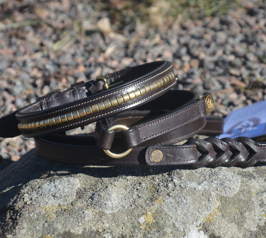 Premium dog collar in natural tanned leather and classic clincher