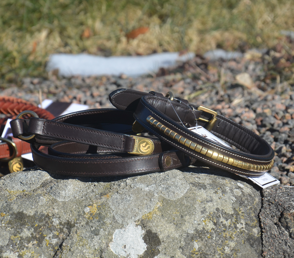 Premium dog collar in natural tanned leather and classic clincher