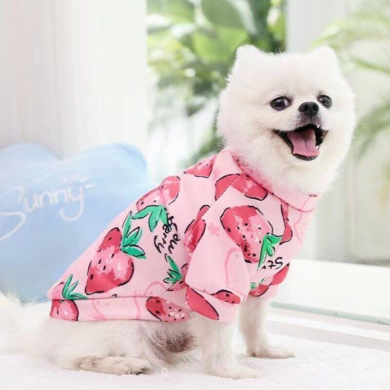 S Size Cute Pet Dog Warm Jumper Sweater Clothes Cat Knitwear Knitted Coats Winter